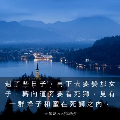 Picture 03 - 士 師 記 14:8 CUVT - 過 了 些 日 子 ， 再 下 去 要 娶 那 - Bible Verse Picture