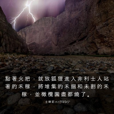 Picture 03 - 士 師 記 15:5 CUVT - 點 著 火 把 ， 就 放 狐 狸 進 入 非 - Bible Verse Picture