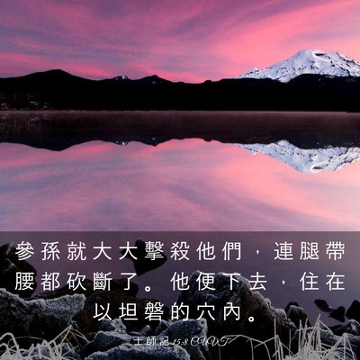Picture 03 - 士 師 記 15:8 CUVT - 參 孫 就 大 大 擊 殺 他 們 ， 連 腿 - Bible Verse Picture