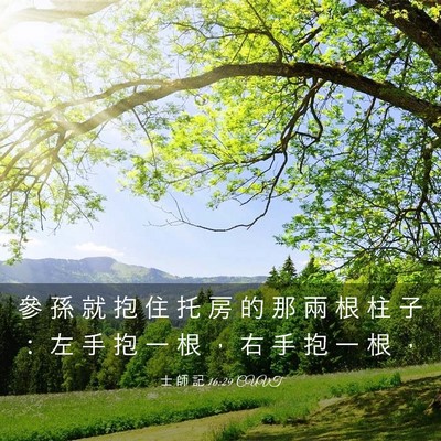 Picture 03 - 士 師 記 16:29 CUVT - 參 孫 就 抱 住 托 房 的 那 兩 根 柱 - Bible Verse Picture