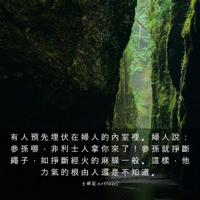 Picture 03 - 士 師 記 16:9 CUVT - 有 人 預 先 埋 伏 在 婦 人 的 內 室 - Bible Verse Picture