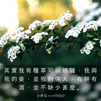 Picture 03 - 士 師 記 19:19 CUVT - 其 實 我 有 糧 草 可 以 餵 驢 ， 我 - Bible Verse Picture