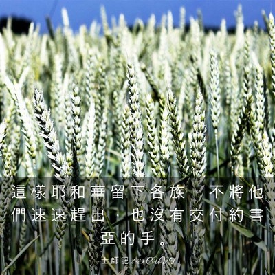 Picture 03 - 士 師 記 2:23 CUVT - 這 樣 耶 和 華 留 下 各 族 ， 不 將 - Bible Verse Picture