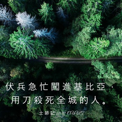 Picture 03 - 士 師 記 20:37 CUVT - 伏 兵 急 忙 闖 進 基 比 亞 ， 用 刀 - Bible Verse Picture