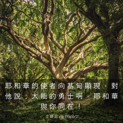 Picture 03 - 士 師 記 6:12 CUVT - 耶 和 華 的 使 者 向 基 甸 顯 現 ， - Bible Verse Picture