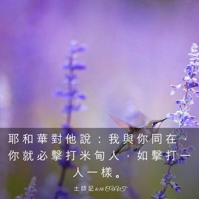 Picture 03 - 士 師 記 6:16 CUVT - 耶 和 華 對 他 說 ： 我 與 你 同 在 - Bible Verse Picture