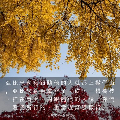 Picture 03 - 士 師 記 9:48 CUVT - 亞 比 米 勒 和 跟 隨 他 的 人 就 都 - Bible Verse Picture
