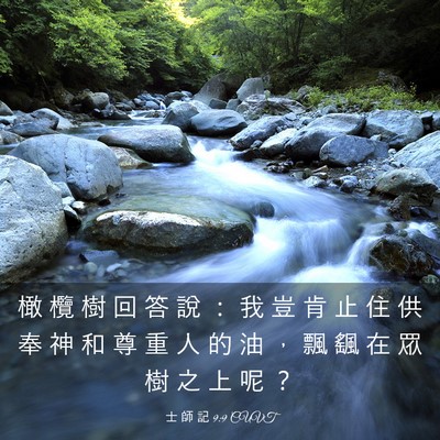 Picture 03 - 士 師 記 9:9 CUVT - 橄 欖 樹 回 答 說 ： 我 豈 肯 止 住 - Bible Verse Picture