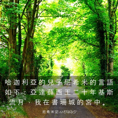 Picture 03 - 尼 希 米 記 1:1 CUVT - 哈 迦 利 亞 的 兒 子 尼 希 米 的 言 - Bible Verse Picture