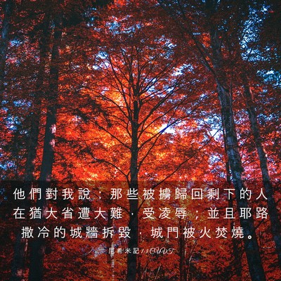 Picture 03 - 尼 希 米 記 1:3 CUVT - 他 們 對 我 說 ： 那 些 被 擄 歸 回 - Bible Verse Picture