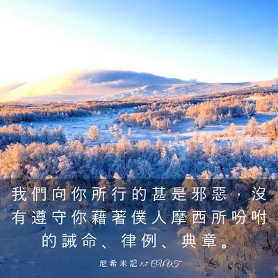 Picture 03 - 尼 希 米 記 1:7 CUVT - 我 們 向 你 所 行 的 甚 是 邪 惡 ， - Bible Verse Picture