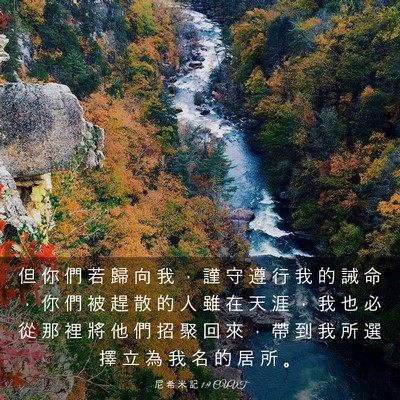 Picture 03 - 尼 希 米 記 1:9 CUVT - 但 你 們 若 歸 向 我 ， 謹 守 遵 行 - Bible Verse Picture