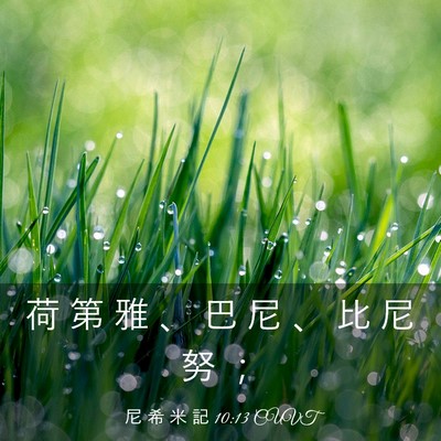 Picture 03 - 尼 希 米 記 10:13 CUVT - 荷 第 雅 、 巴 尼 、 比 尼 努 - Bible Verse Picture