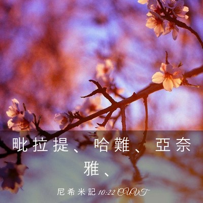 Picture 03 - 尼 希 米 記 10:22 CUVT - 毗 拉 提 、 哈 難 、 亞 奈 雅 - Bible Verse Picture