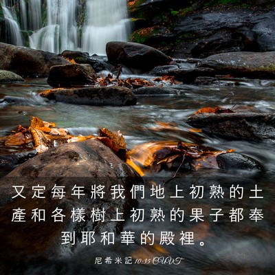 Picture 03 - 尼 希 米 記 10:35 CUVT - 又 定 每 年 將 我 們 地 上 初 熟 的 - Bible Verse Picture