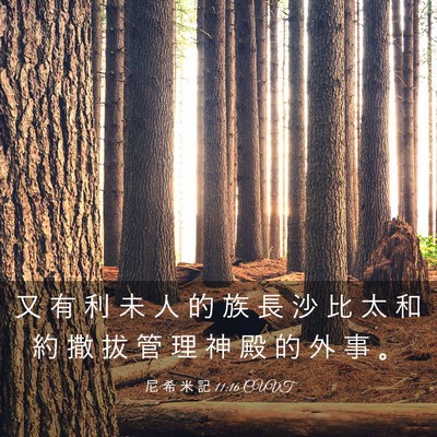 Picture 03 - 尼 希 米 記 11:16 CUVT - 又 有 利 未 人 的 族 長 沙 比 太 和 - Bible Verse Picture