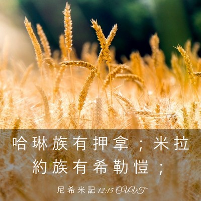 Picture 03 - 尼 希 米 記 12:15 CUVT - 哈 琳 族 有 押 拿 ； 米 拉 約 族 有 - Bible Verse Picture