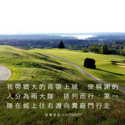 Picture 03 - 尼 希 米 記 12:31 CUVT - 我 帶 猶 大 的 首 領 上 城 ， 使 稱 - Bible Verse Picture