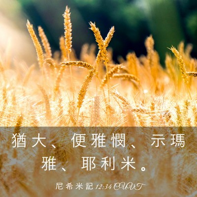Picture 03 - 尼 希 米 記 12:34 CUVT - 猶 大 、 便 雅 憫 、 示 瑪 雅 、 耶 - Bible Verse Picture