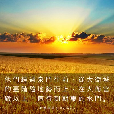 Picture 03 - 尼 希 米 記 12:37 CUVT - 他 們 經 過 泉 門 往 前 ， 從 大 衛 - Bible Verse Picture