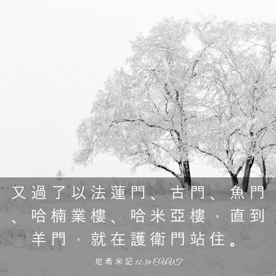Picture 03 - 尼 希 米 記 12:39 CUVT - 又 過 了 以 法 蓮 門 、 古 門 、 魚 - Bible Verse Picture