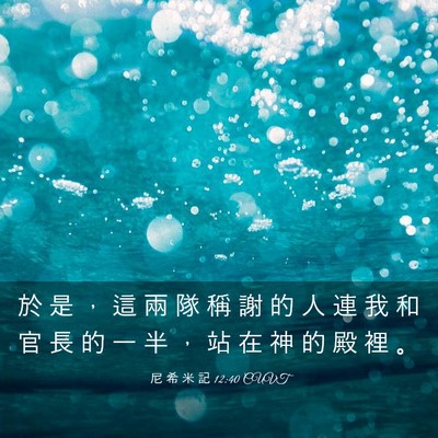 Picture 03 - 尼 希 米 記 12:40 CUVT - 於 是 ， 這 兩 隊 稱 謝 的 人 連 我 - Bible Verse Picture