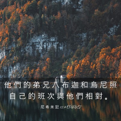 Picture 03 - 尼 希 米 記 12:9 CUVT - 他 們 的 弟 兄 八 布 迦 和 烏 尼 照 - Bible Verse Picture