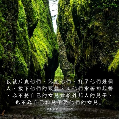 Picture 03 - 尼 希 米 記 13:25 CUVT - 我 就 斥 責 他 們 ， 咒 詛 他 們 ， - Bible Verse Picture