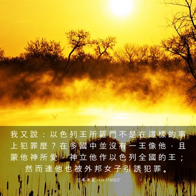 Picture 03 - 尼 希 米 記 13:26 CUVT - 我 又 說 ： 以 色 列 王 所 羅 門 不 - Bible Verse Picture