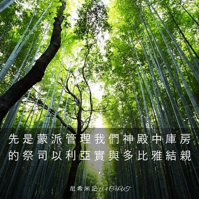 Picture 03 - 尼 希 米 記 13:4 CUVT - 先 是 蒙 派 管 理 我 們 神 殿 中 庫 - Bible Verse Picture