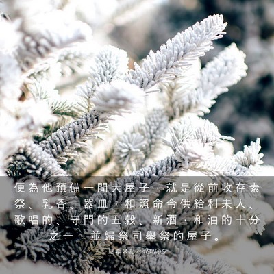 Picture 03 - 尼 希 米 記 13:5 CUVT - 便 為 他 預 備 一 間 大 屋 子 ， 就 - Bible Verse Picture