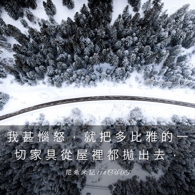 Picture 03 - 尼 希 米 記 13:8 CUVT - 我 甚 惱 怒 ， 就 把 多 比 雅 的 一 - Bible Verse Picture