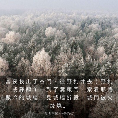 Picture 03 - 尼 希 米 記 2:13 CUVT - 當 夜 我 出 了 谷 門 ， 往 野 狗 井 - Bible Verse Picture