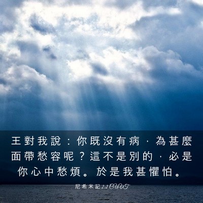 Picture 03 - 尼 希 米 記 2:2 CUVT - 王 對 我 說 ： 你 既 沒 有 病 ， 為 - Bible Verse Picture