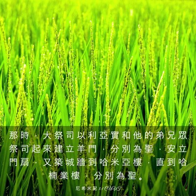 Picture 03 - 尼 希 米 記 3:1 CUVT - 那 時 ， 大 祭 司 以 利 亞 實 和 他 - Bible Verse Picture