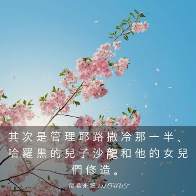 Picture 03 - 尼 希 米 記 3:12 CUVT - 其 次 是 管 理 耶 路 撒 冷 那 一 半 - Bible Verse Picture