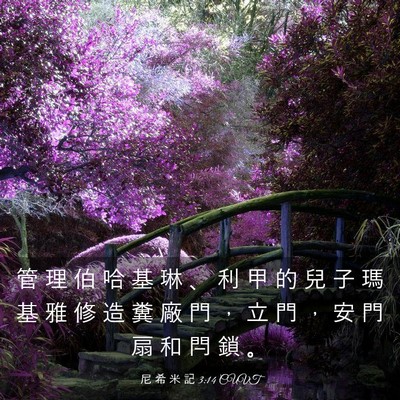 Picture 03 - 尼 希 米 記 3:14 CUVT - 管 理 伯 哈 基 琳 、 利 甲 的 兒 子 - Bible Verse Picture