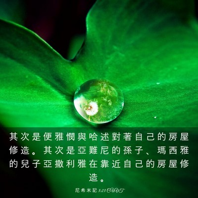 Picture 03 - 尼 希 米 記 3:23 CUVT - 其 次 是 便 雅 憫 與 哈 述 對 著 自 - Bible Verse Picture