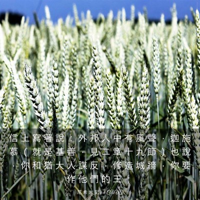 Picture 03 - 尼 希 米 記 6:6 CUVT - 信 上 寫 著 說 ： 外 邦 人 中 有 風 - Bible Verse Picture