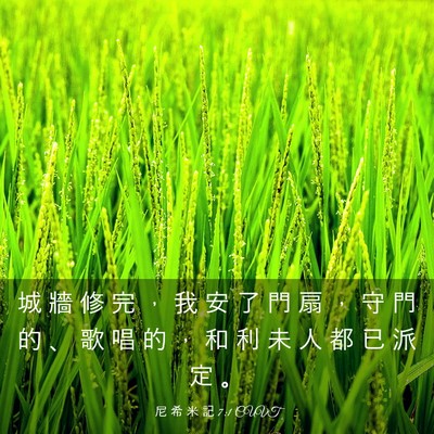 Picture 03 - 尼 希 米 記 7:1 CUVT - 城 牆 修 完 ， 我 安 了 門 扇 ， 守 - Bible Verse Picture