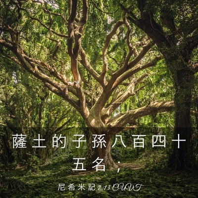 Picture 03 - 尼 希 米 記 7:13 CUVT - 薩 土 的 子 孫 八 百 四 十 五 名 - Bible Verse Picture