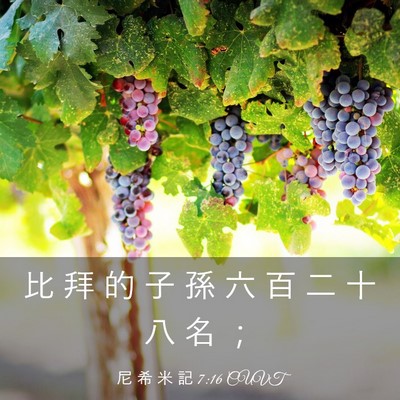 Picture 03 - 尼 希 米 記 7:16 CUVT - 比 拜 的 子 孫 六 百 二 十 八 名 - Bible Verse Picture