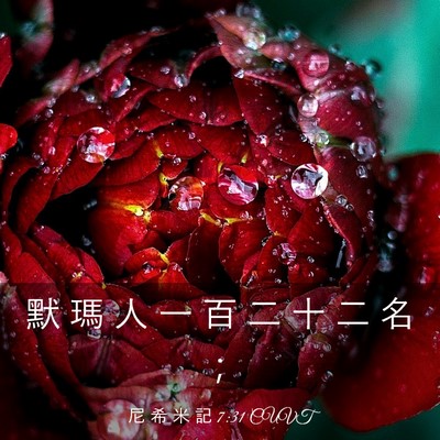 Picture 03 - 尼 希 米 記 7:31 CUVT - 默 瑪 人 一 百 二 十 二 名 - Bible Verse Picture