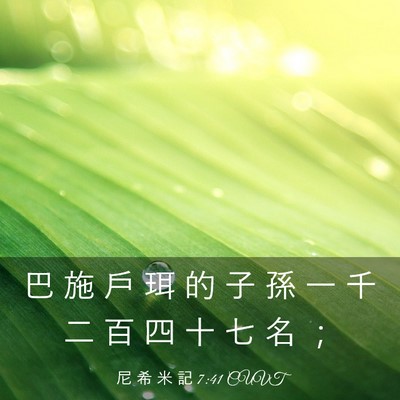 Picture 03 - 尼 希 米 記 7:41 CUVT - 巴 施 戶 珥 的 子 孫 一 千 二 百 四 - Bible Verse Picture