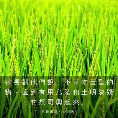 Picture 03 - 尼 希 米 記 7:65 CUVT - 省 長 對 他 們 說 ： 不 可 吃 至 聖 - Bible Verse Picture