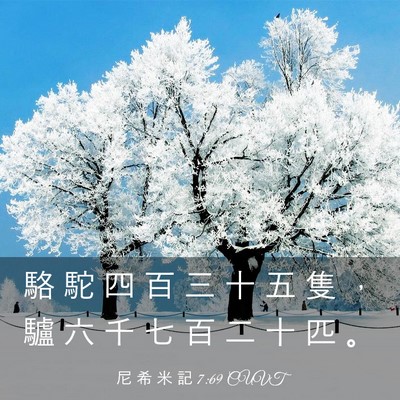 Picture 03 - 尼 希 米 記 7:69 CUVT - 駱 駝 四 百 三 十 五 隻 ， 驢 六 千 - Bible Verse Picture