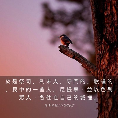 Picture 03 - 尼 希 米 記 7:73 CUVT - 於 是 祭 司 、 利 未 人 、 守 門 的 - Bible Verse Picture