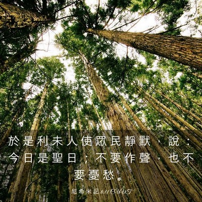 Picture 03 - 尼 希 米 記 8:11 CUVT - 於 是 利 未 人 使 眾 民 靜 默 ， 說 - Bible Verse Picture
