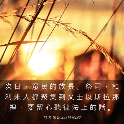 Picture 03 - 尼 希 米 記 8:13 CUVT - 次 日 ， 眾 民 的 族 長 、 祭 司 ， - Bible Verse Picture