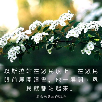 Picture 03 - 尼 希 米 記 8:5 CUVT - 以 斯 拉 站 在 眾 民 以 上 ， 在 眾 - Bible Verse Picture